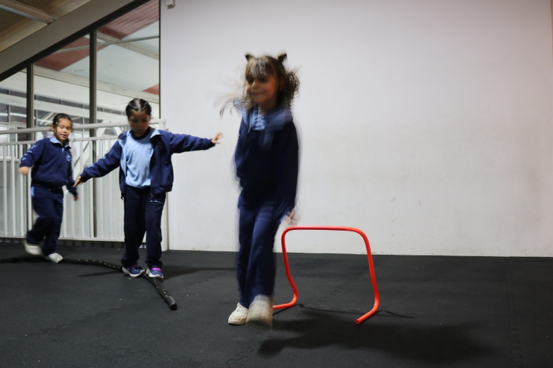 Día de la Actividad Física